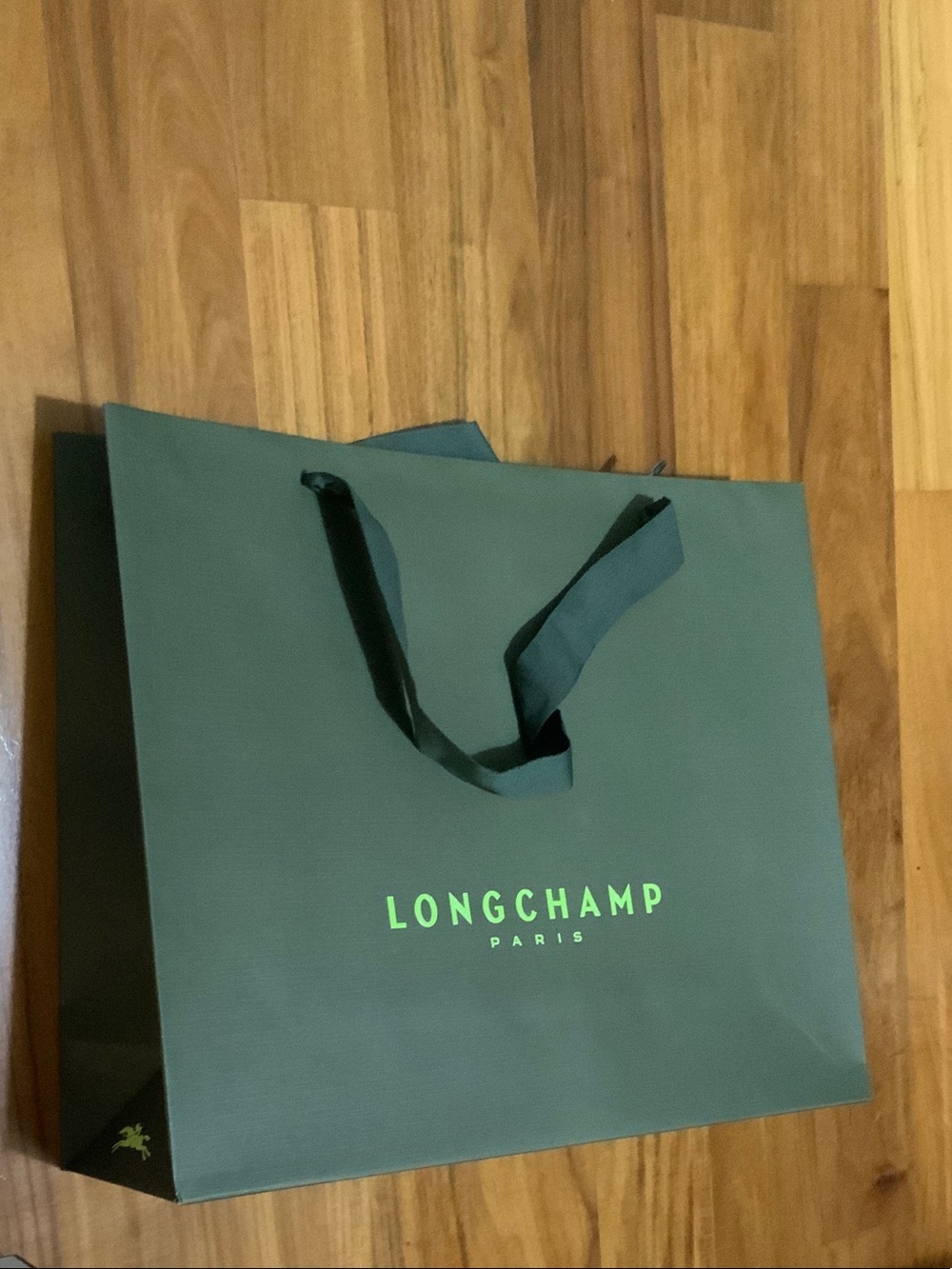 One green Longchamp shopping bag Longchamp gift packaging